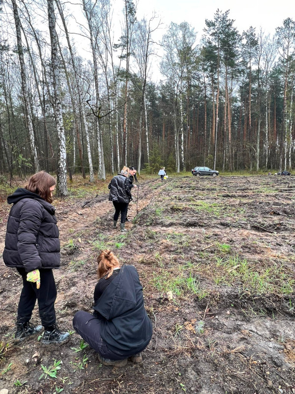 zdjęcie nr 3 - NADLEŚNICTWO NIESULÓW
