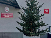 zdjęcie nr 16 - ŚWIĄTECZNY CZAS...